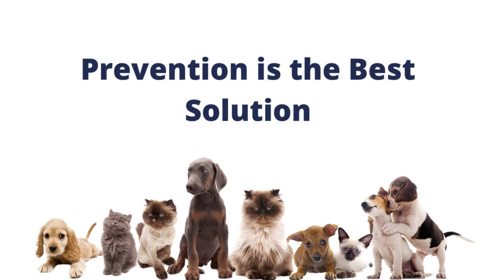 Prevention is the Best Solution