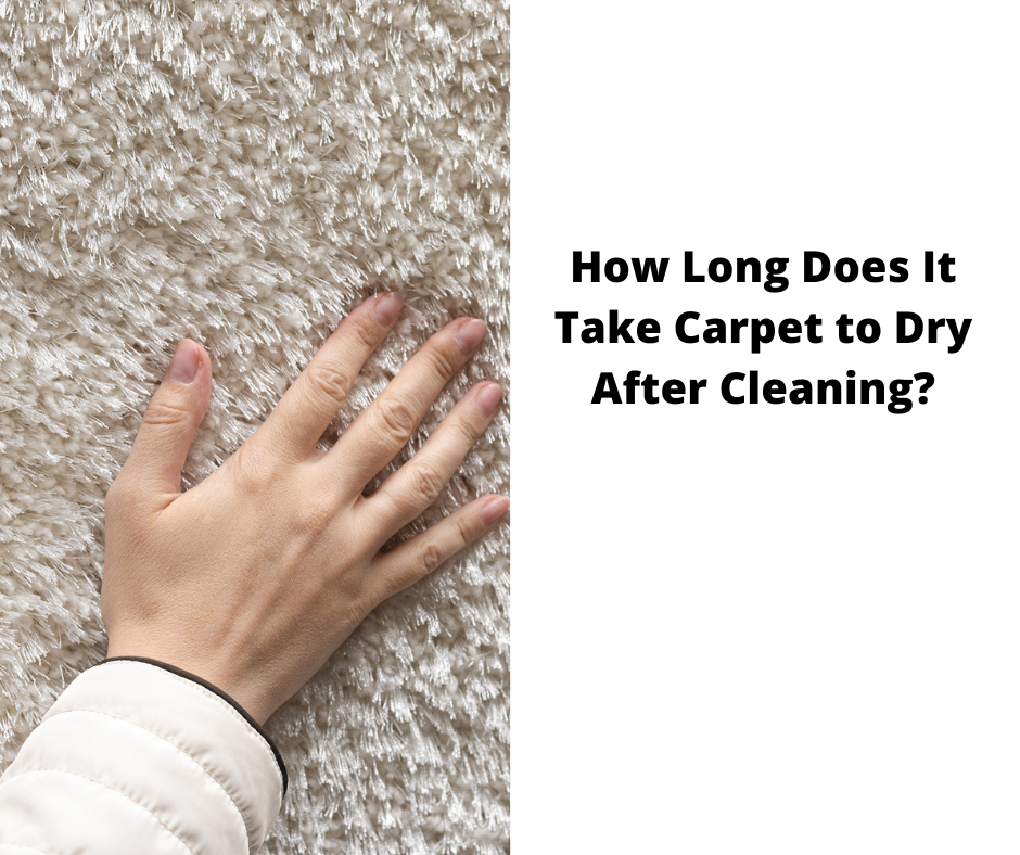 How Long Does It Take Carpet to Dry After Cleaning?