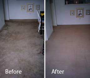 How to Remove Urine and Fix Carpet
