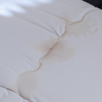 how-to-clean-a-latte-spill-on-a-mattress.png