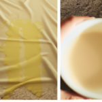 how-to-clean-a-latte-stain-on-a-carpet.png