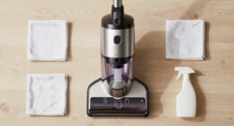 15 Best Steam Cleaners in 2026