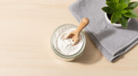 14 Best Diatomaceous Earth Products in 2026 — The Ultimate Buyer’s Guide