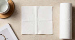 14 Best Paper Towels For Kitchens In 2026