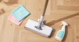 15 Best Hard Floor Steam Mops in 2026