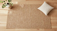 15 Best Home Decorator Carpets in 2026