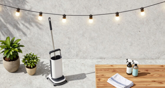 15 Best Patriotic Outdoor Patio Lighting in 2026