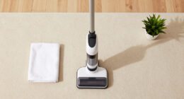 9 Best Carpet Cleaner for Pets in 2026