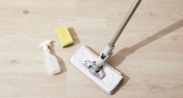 How to Store a Steam Mop the Right Way