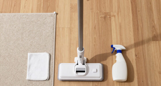 How to Store a Steam Mop the Right Way