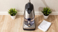 Is Steam Cleaning a Good Idea for Allergy Sufferers?