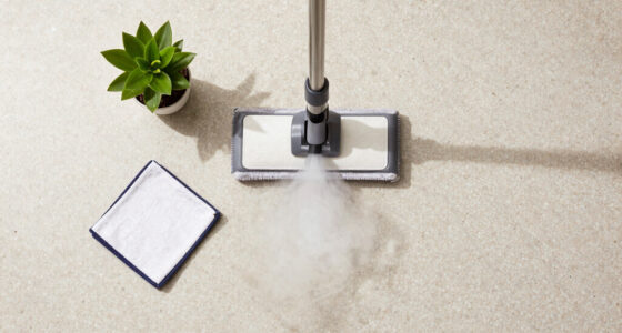 Is Steam Mopping Safe for Terrazzo Floors?