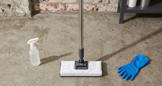 Steam Mopping Basement Floors: The Moisture Risks Explained