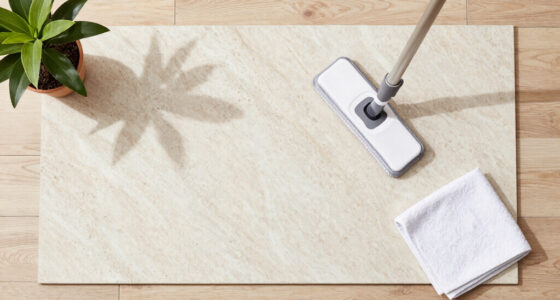 Steam Mopping Limestone Floors: Proceed With Caution