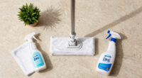 Steam Mopping Limestone Floors: Proceed With Caution