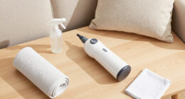 10 Best Portable Upholstery Cleaner in 2026