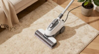 10 Best Rug Cleaning Machines in 2026