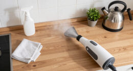 13 Best Portable Handheld Steam Cleaners for 2026